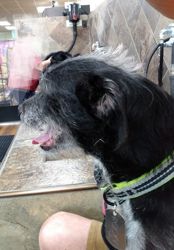  «Yarn & Bone Pet Supply Company», reviews and photos, 129 Rd 4 #1, Camden, DE 19934, USA