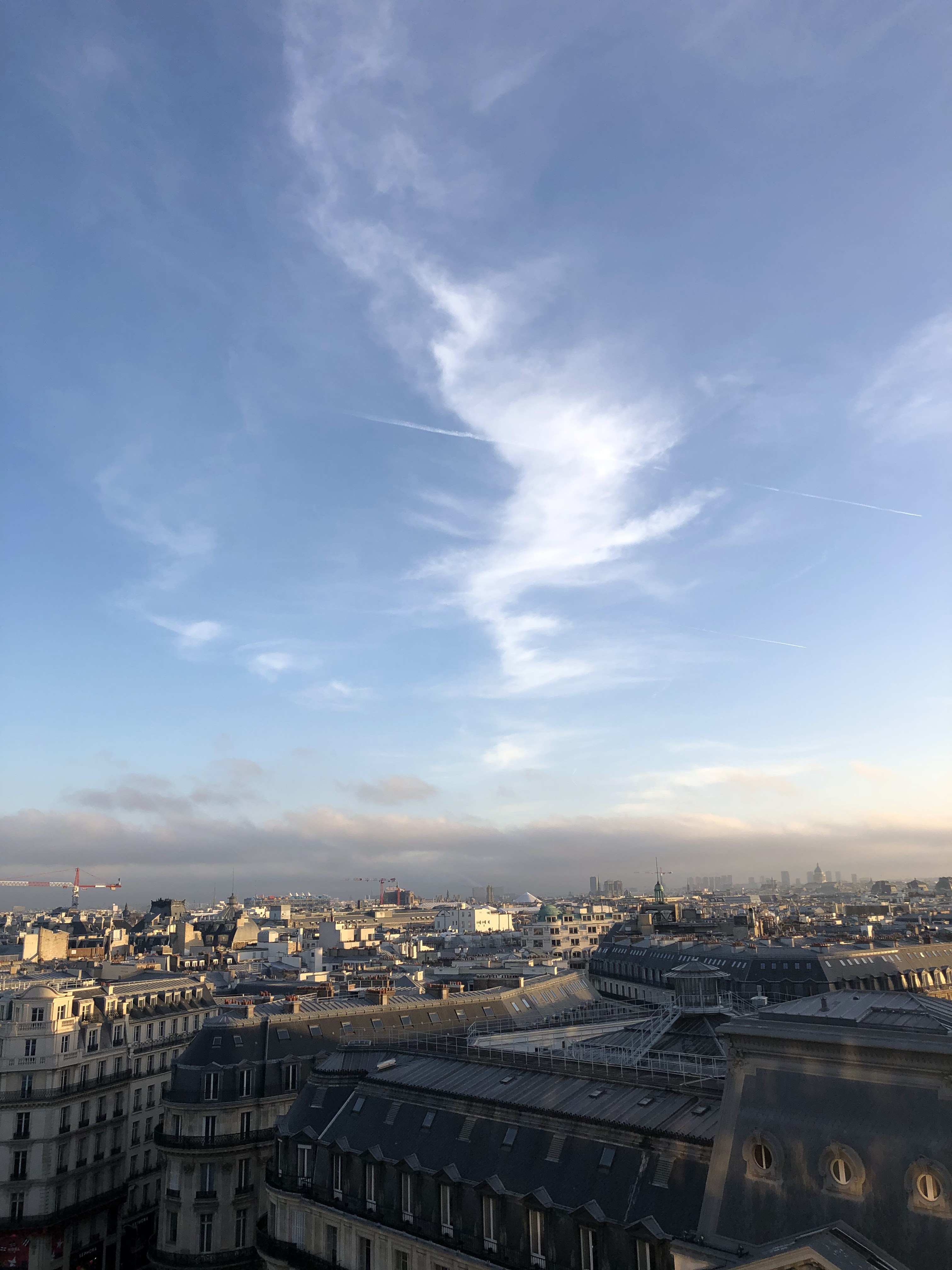 Photo n° 1 de l'avis de Max.e fait le 31/12/2018 à 07:52