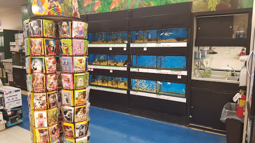 Pet Supply Store «Pet Supplies Plus», reviews and photos, 29493 W Seven Mile Rd, Livonia, MI 48152, USA