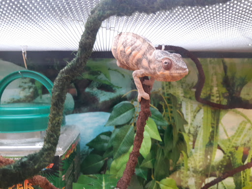 Pet Supply Store «Petco Animal Supplies», reviews and photos, 3372 Cobb Pkwy NW #300, Acworth, GA 30101, USA