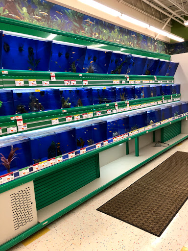 Pet Supply Store «Pet Supplies Plus», reviews and photos, 5092 Mayfield Rd, Lyndhurst, OH 44124, USA