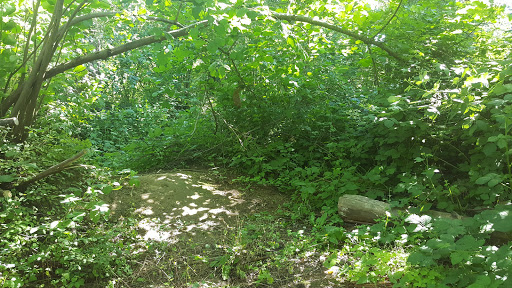 Park «Autumn Ridge Park», reviews and photos, NW Fieldstone Dr, Beaverton, OR 97006, USA