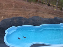 Charlotte Pool Cleaners - Photo 3 - Car repair in , Charlotte