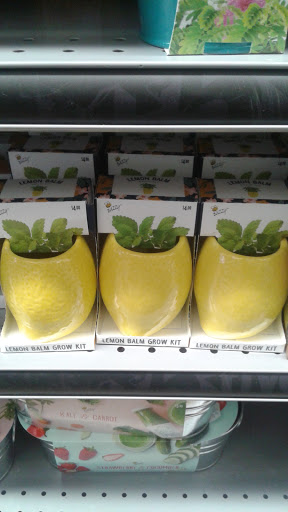 Variety Store «Five Below», reviews and photos, 1130 Stafford Market Pl, Stafford, VA 22556, USA