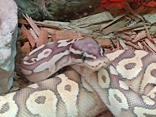 Pet Supply Store «Pet Supplies Plus», reviews and photos, 1970 Portage Trail, Cuyahoga Falls, OH 44223, USA