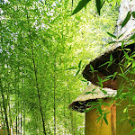 Photo n° 16 de l'avis de Océane.o fait le 07/08/2020 à 11:41 pour Jardin des Fontaines Pétrifiantes à La Sône