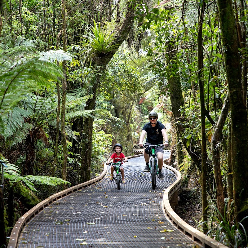 Kawatiri Coastal Trail