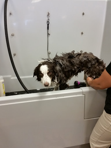 Pet Supply Store «Pet Food Gone Wild», reviews and photos, 2415 Southern Blvd SE, Rio Rancho, NM 87124, USA