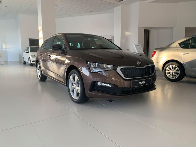 Comentarii opinii despre SKODA MELAKIS