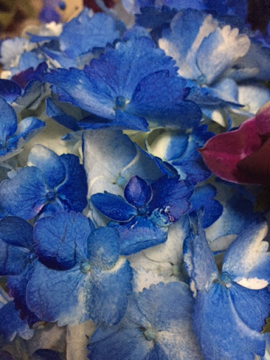 Florist «Heavenly Flowers», reviews and photos, 31 W Merrick Rd, Freeport, NY 11520, USA