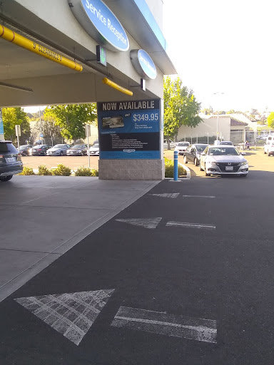 Avery Greene Honda image