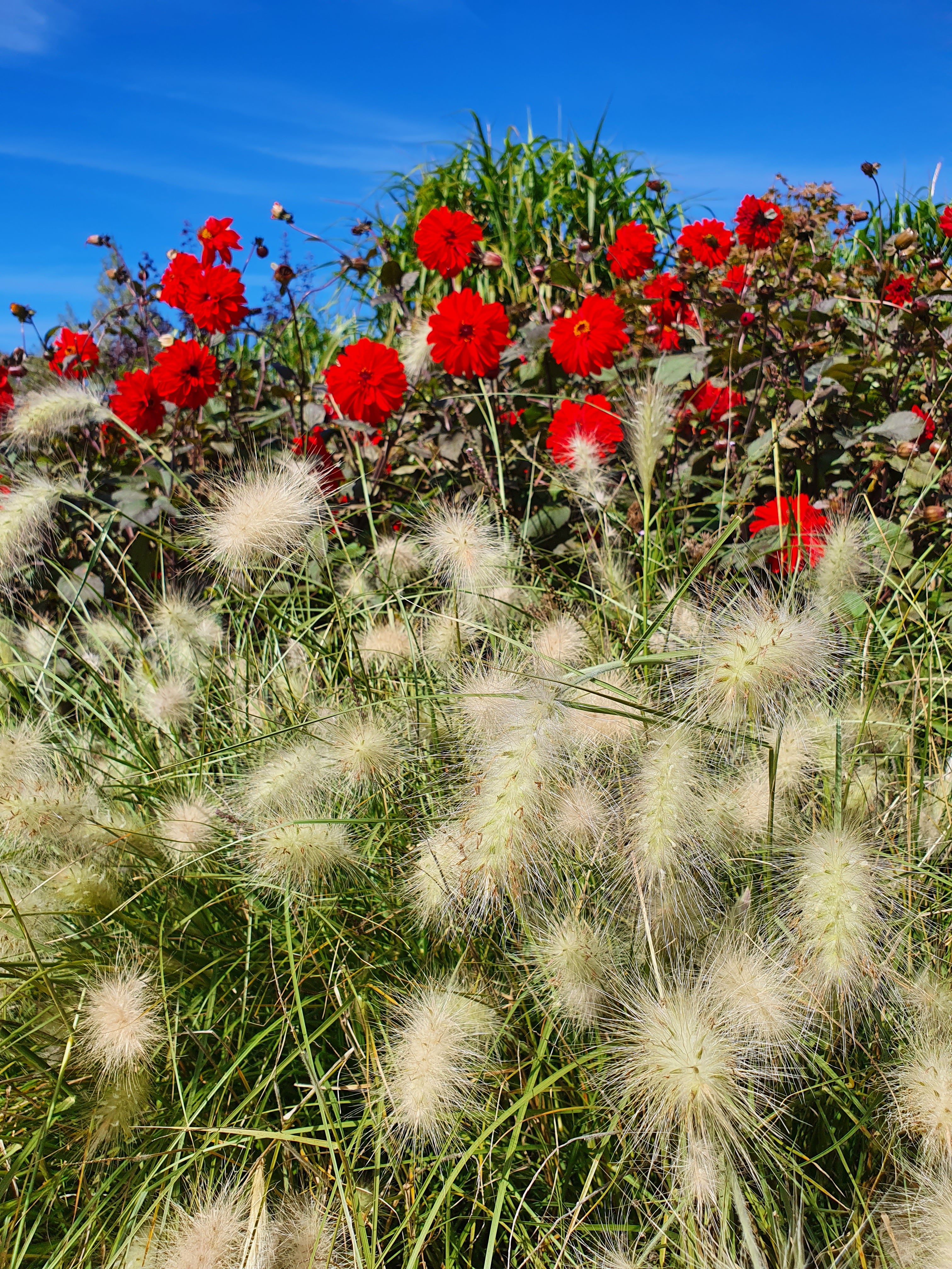 Photo n° 7 de l'avis de l'accent.u fait le 04/10/2022 à 21:07