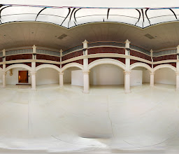 Museo Dolores Olmedo photo