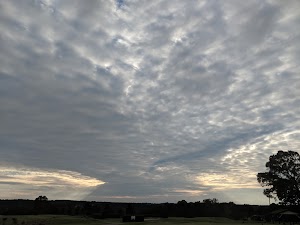 Riverwood Golf Club - photo 58