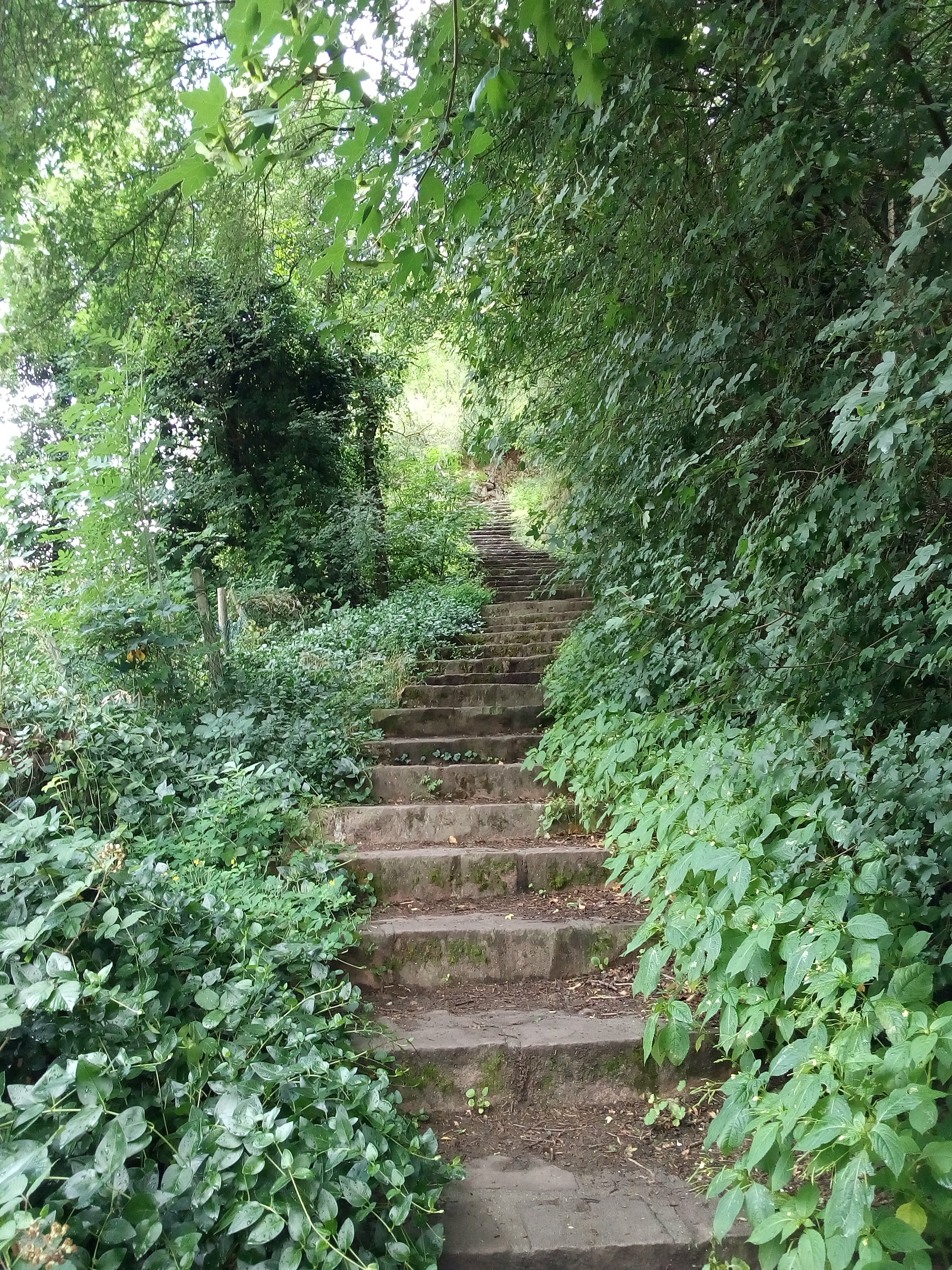 Photo n° 7 de l'avis de Karine.a fait le 14/07/2020 à 19:52