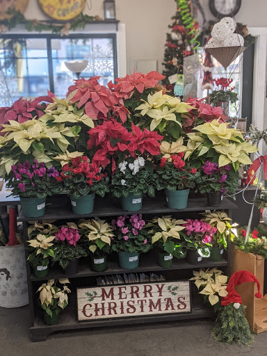 Garden Center «Delahunty Nurseries & Florist», reviews and photos, 41 Range Rd, Windham, NH 03087, USA