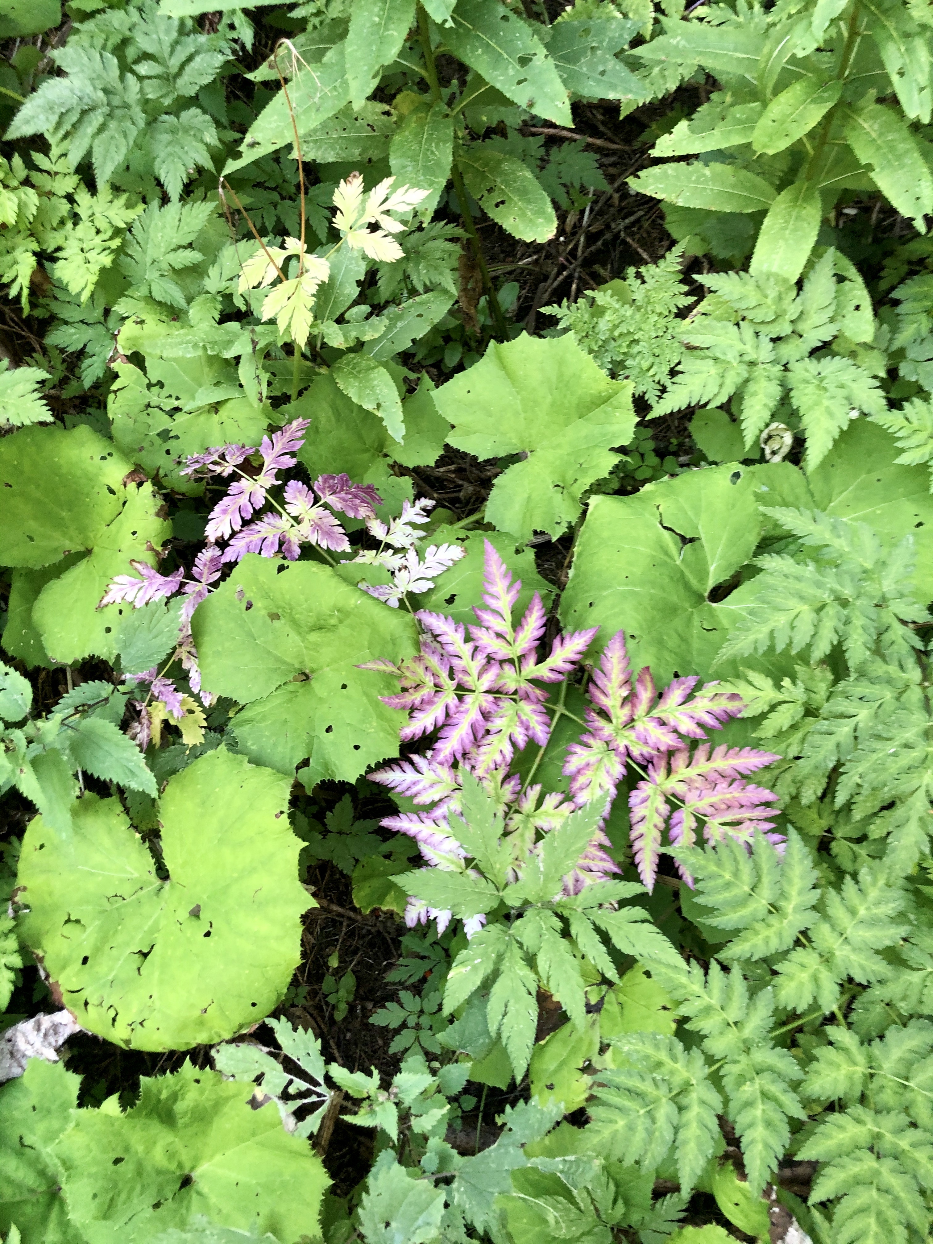 Photo n° 1 de l'avis de Sophie.b fait le 29/11/2021 à 19:01