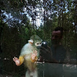 Photo n°14 de l'avis de Blaster.e fait le 15/08/2018 à 13:10 sur le  Parco Zoo Falconara Srl à Falconara Marittima