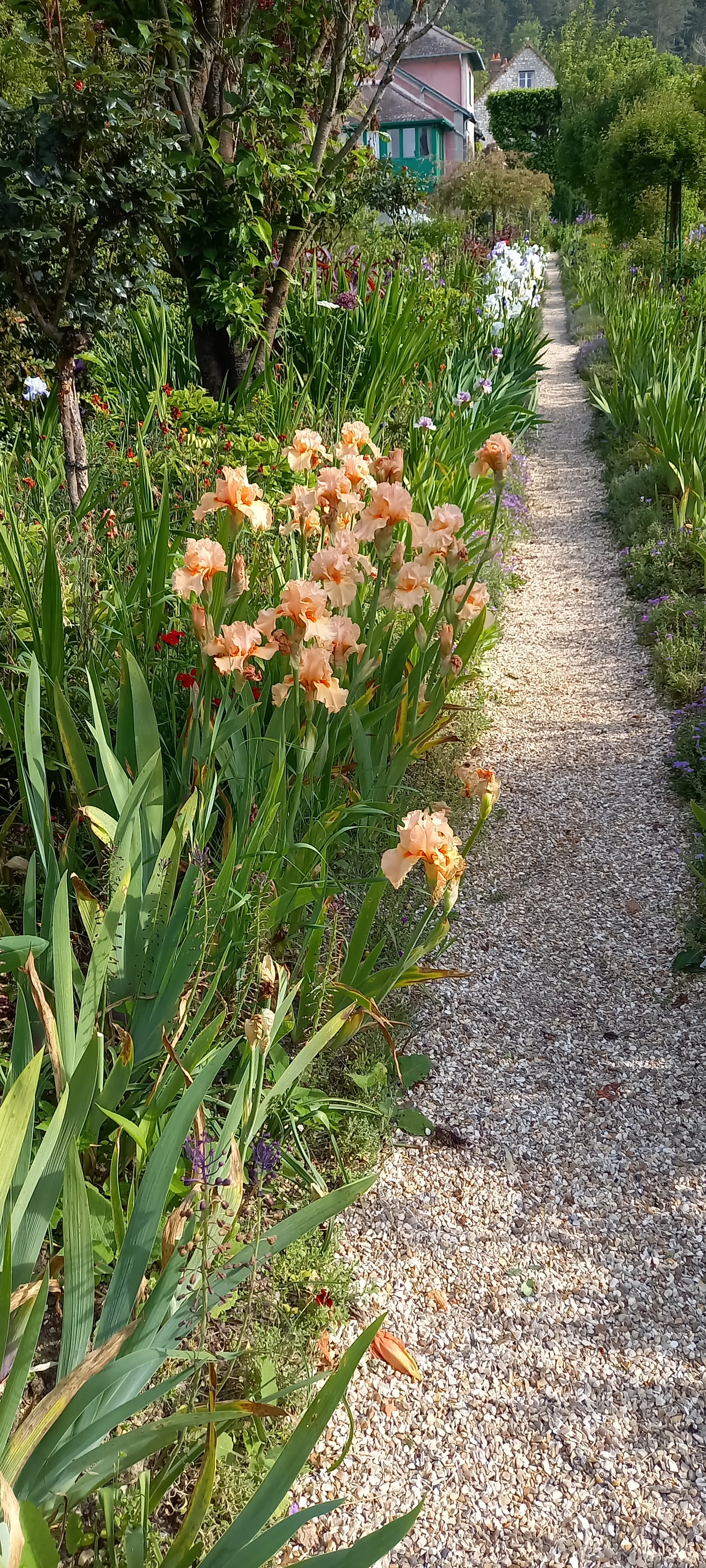 Photo n° 4 de l'avis de Gweyvan.r fait le 21/05/2023 à 19:47