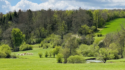Parc national de forêts à Arc-en-Barrois