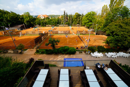 Tenis Cibulka