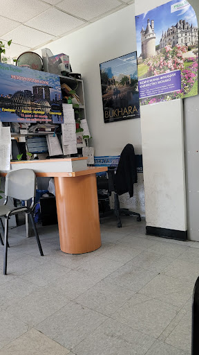 Travel Agency «Glavs Travel», reviews and photos, 3171 Coney Island Ave, Brooklyn, NY 11235, USA