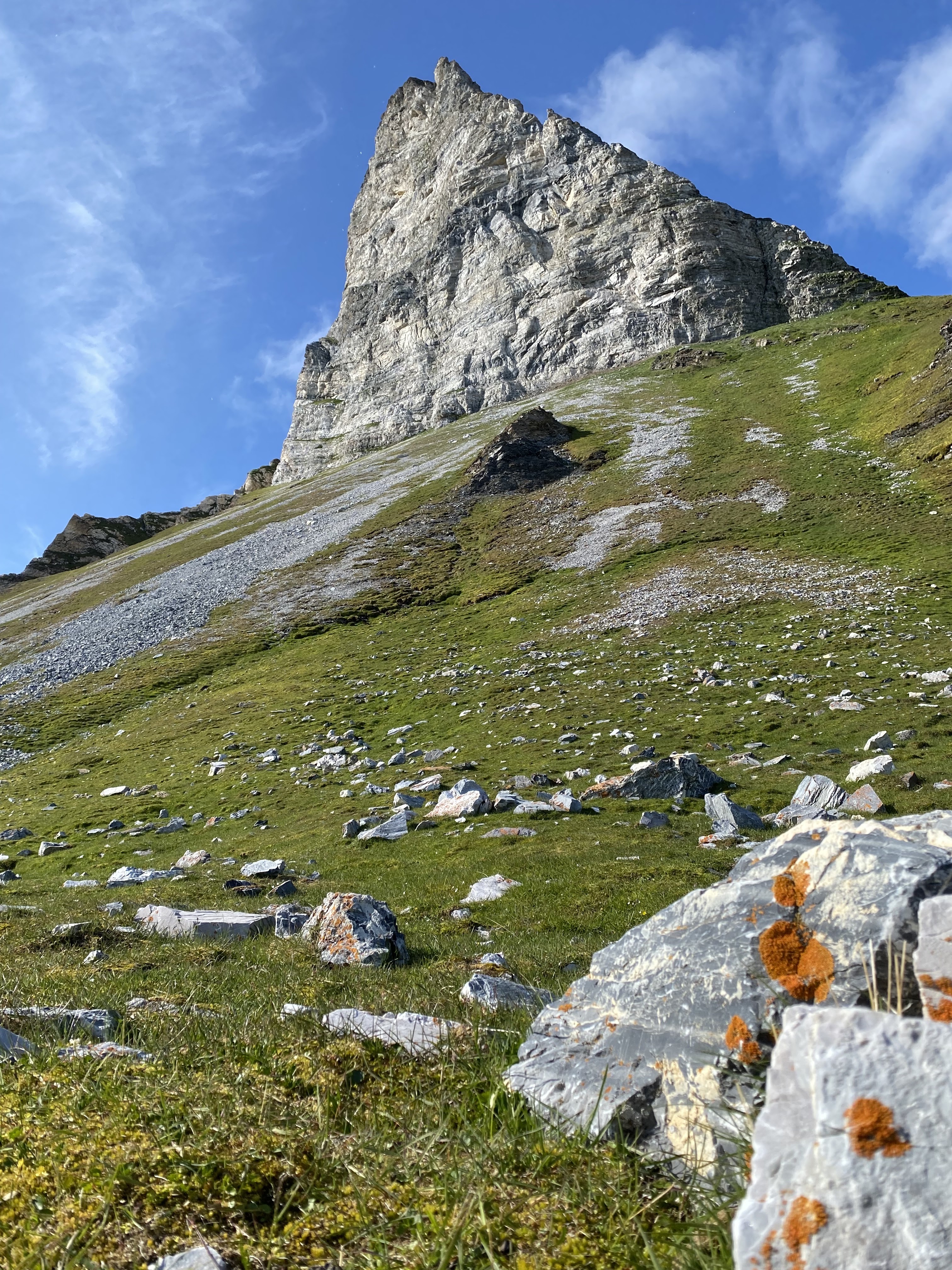 Photo n° 4 de l'avis de Corinne.� fait le 22/07/2023 à 04:29