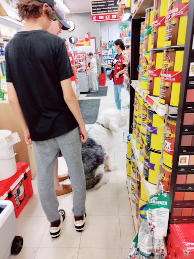 Hardware Store «Tele-Tron Ace Hardware», reviews and photos, 6604 Cermak Rd, Berwyn, IL 60402, USA