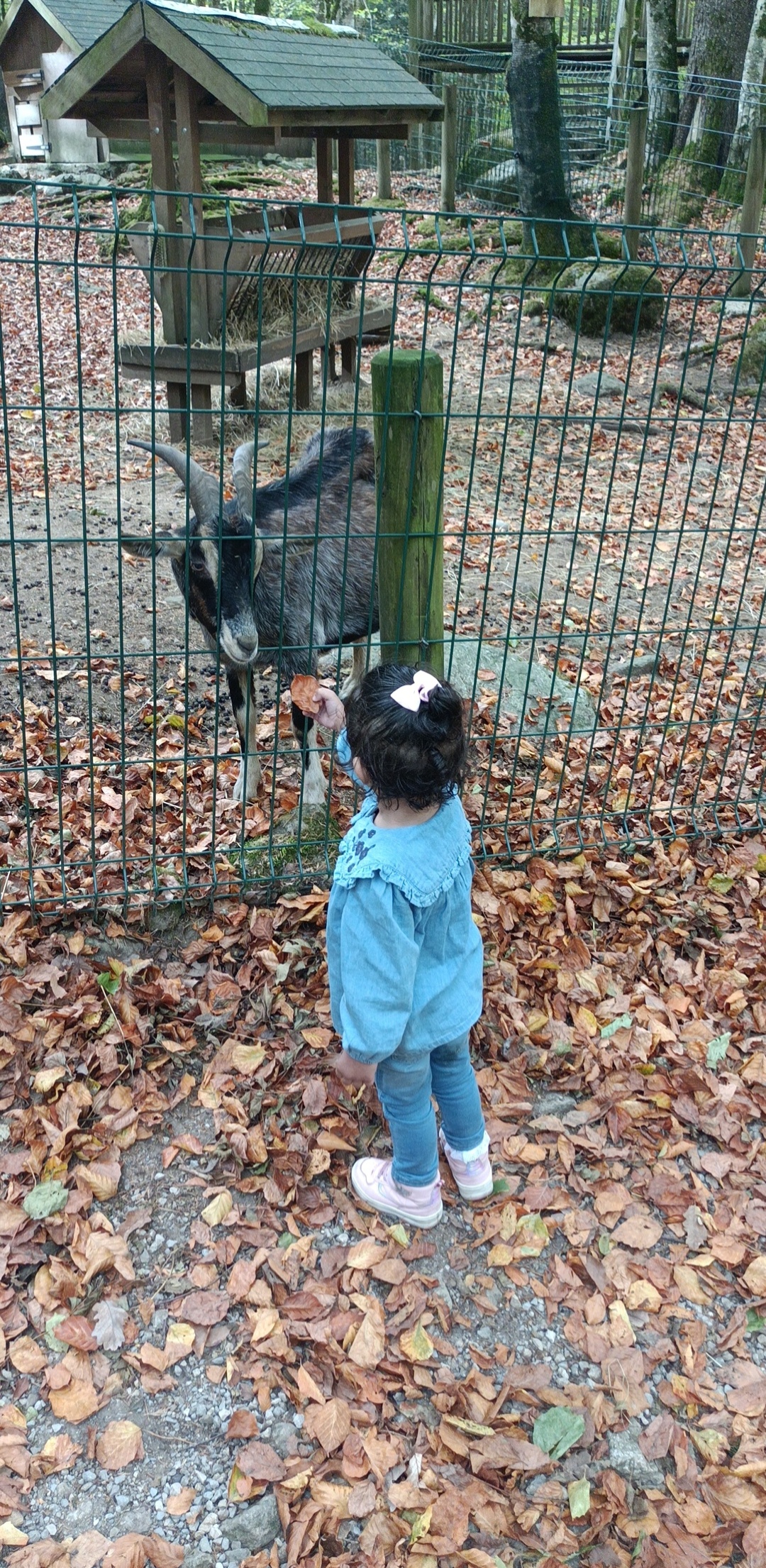 Photo n° 1 de l'avis de Alaa.e fait le 27/10/2022 à 18:56