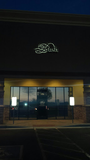 Beauty Salon «Blush Salon Goodyear», reviews and photos, 2403 N Pebble Creek Pkwy, Goodyear, AZ 85395, USA