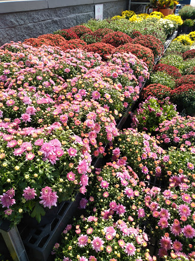 Department Store «Walmart Supercenter», reviews and photos, 2900 Towne Blvd, Middletown, OH 45044, USA