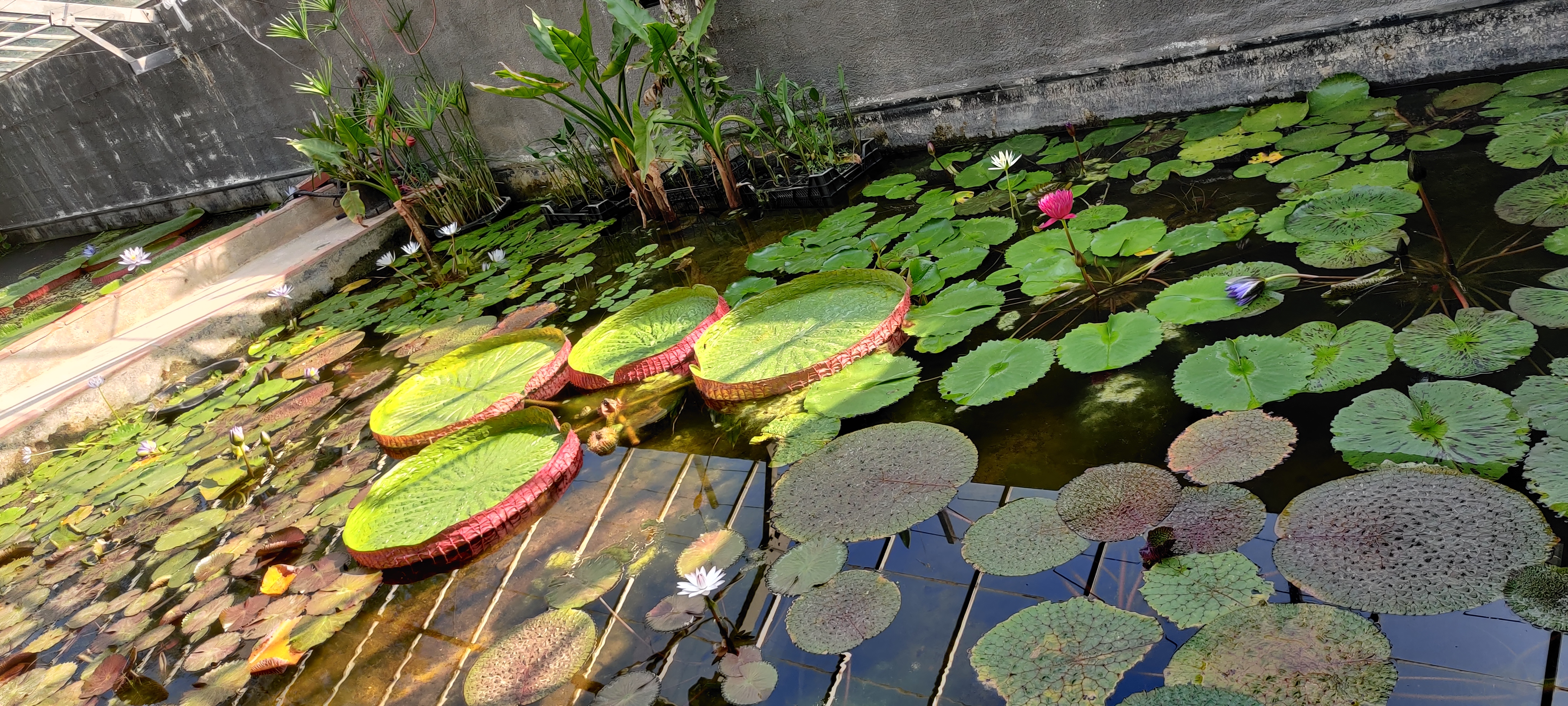 Photo n° 1 de l'avis de So. fait le 24/08/2021 à 11:35