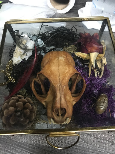 Tattoo Shop «Fox Tattoo Parlor & Gallery», reviews and photos, 3045-B SE 3rd Ave, Ocala, FL 34471, USA