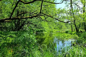 Naturschutzgebiet Löcknitztal image