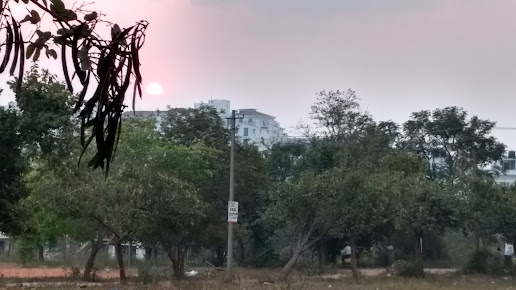 Google Maps image 28