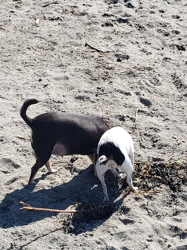 Park «Seahurst Park», reviews and photos, 1600 SW Seahurst Park Rd, Burien, WA 98166, USA