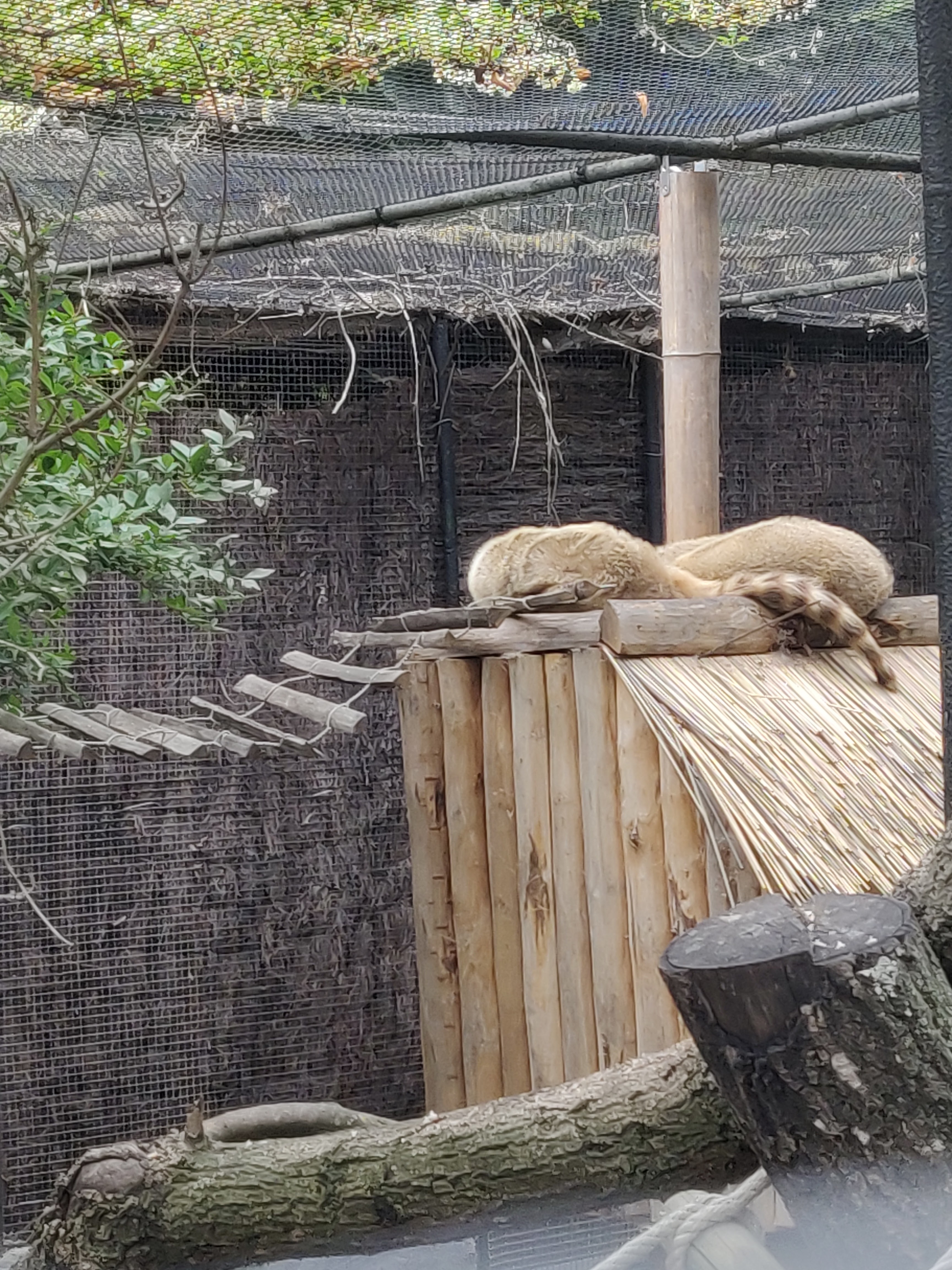 Photo n° 9 de l'avis de Amélie.e fait le 31/08/2019 à 17:39