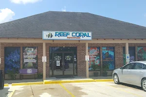 Reef Coral image