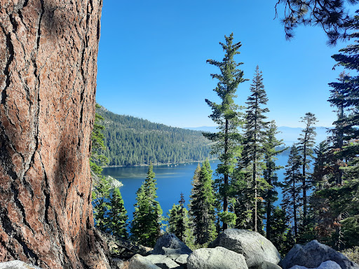 Tahoe Beach & Ski Club image