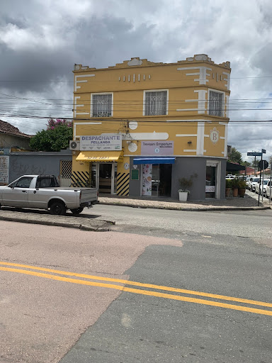 Logo da empresa - Despachante Pellanda