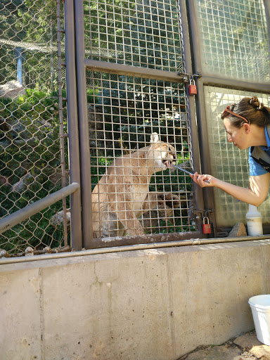 Community Center «Meadows Park Community Center», reviews and photos, 1943 S El Paso Ave, Colorado Springs, CO 80905, USA