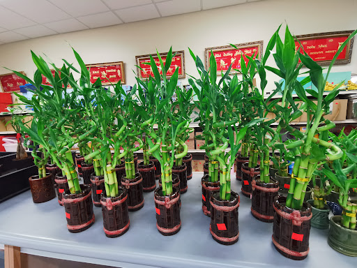 Asian Grocery Store «Lee Lee International Supermarkets», reviews and photos, 1990 W Orange Grove Rd, Tucson, AZ 85704, USA