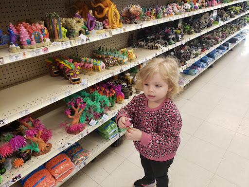 Pet Supply Store «PetSmart», reviews and photos, 1276 Bald Hill Rd, Warwick, RI 02886, USA