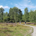 Photo n°9 de l'avis de Sylvia.e fait le 21/08/2022 à 12:15 sur le  Der Schafstall - Das Café-Restaurant im Büsenbachtal à Handeloh
