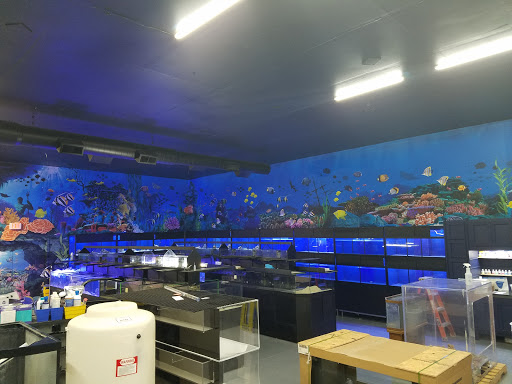 Tropical Fish Store «Marine Solutions», reviews and photos, 20 Triad S Dr, St Charles, MO 63304, USA