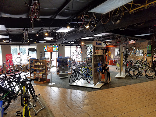 Bicycle Store «Cadence 120 Bicycle Works Inc», reviews and photos, 5558 Old Shell Rd, Mobile, AL 36608, USA