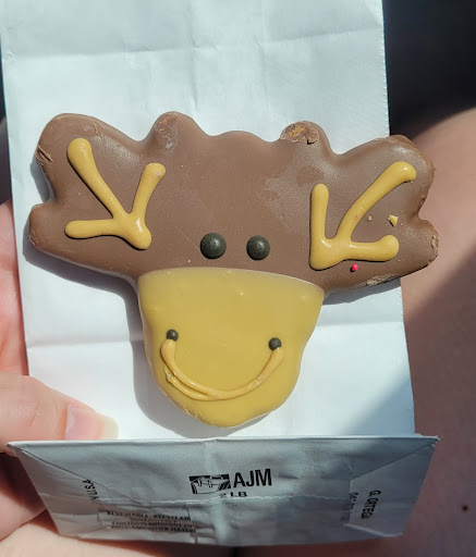 Pet Supply Store «All About Dogs & Cats LLC», reviews and photos, 1429 S Glenstone Ave, Springfield, MO 65804, USA