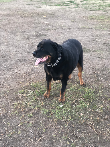 Pet Supply Store «Creative Pet Supply», reviews and photos, 305 N Harbor Blvd, San Pedro, CA 90731, USA