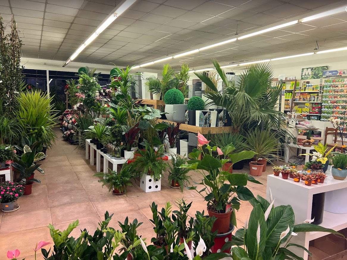Photo n° 1 de l'avis de Corentin.e fait le 13/02/2023 à 09:16