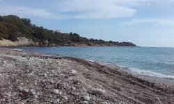 Foto von Platja de l'Aliga mit kleine bucht